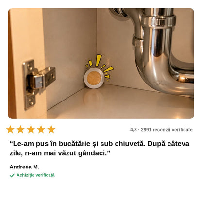 avis — Capcane Momeală pentru Gândaci – Set 12 buc