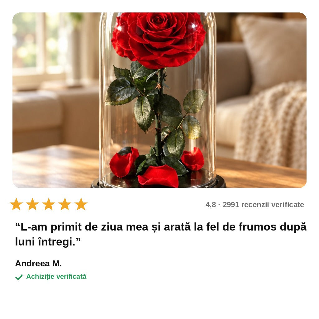 avis — Trandafir Etern în Cupolă de Sticlă