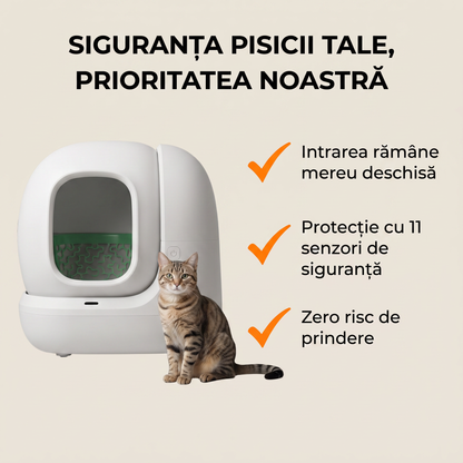 Siguranța pisicii tale