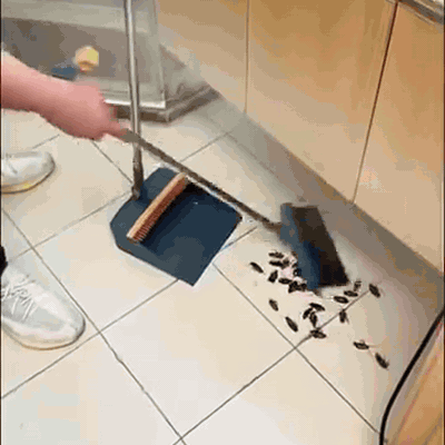 gif — Capcane Momeală pentru Gândaci – Set 12 buc