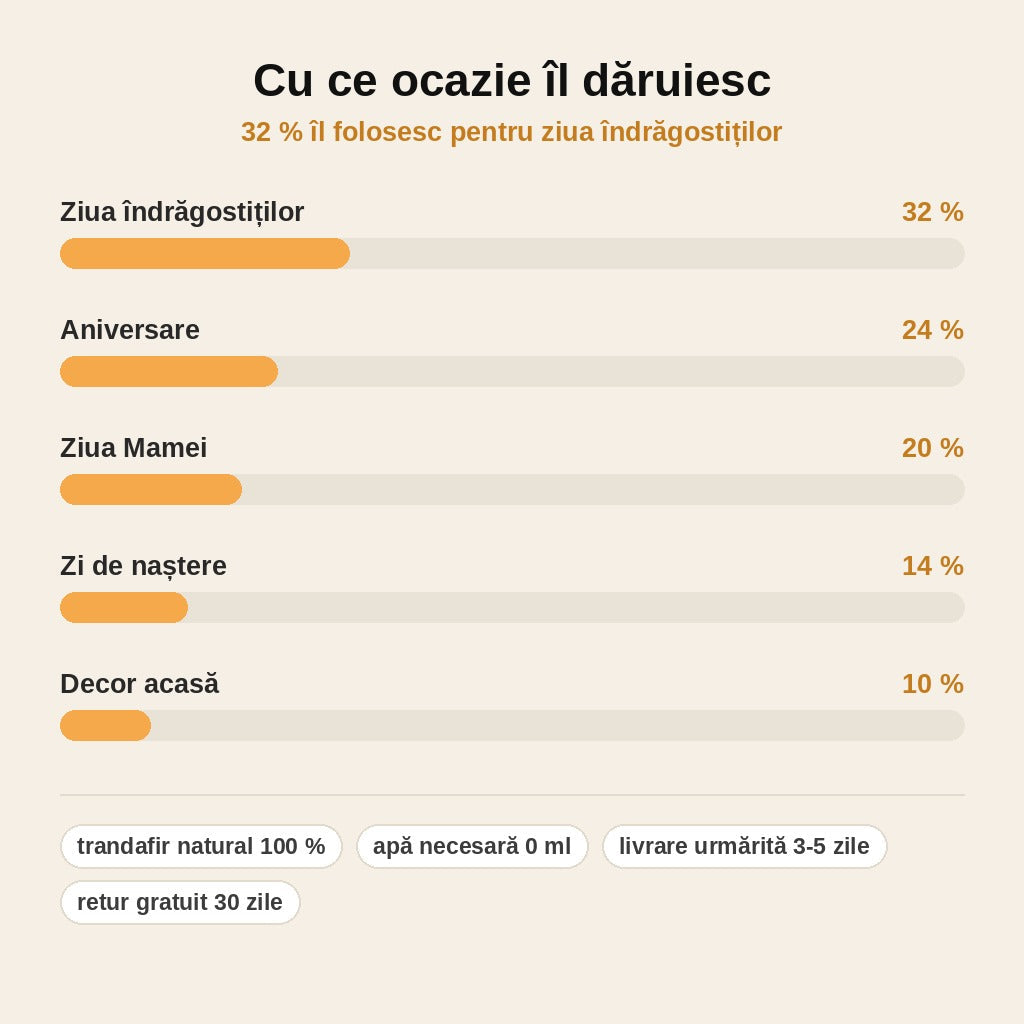 stats — Trandafir Etern în Cupolă de Sticlă