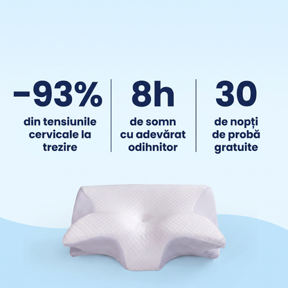 Cifrele pernei Soya 2.0